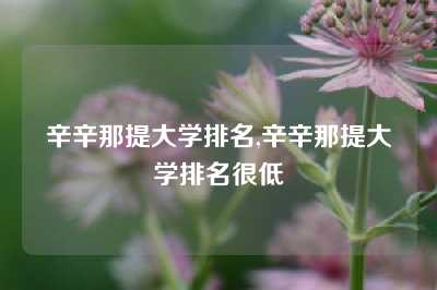 辛辛那提大学排名,辛辛那提大学排名很低