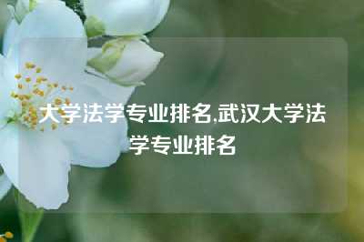 大学法学专业排名,武汉大学法学专业排名