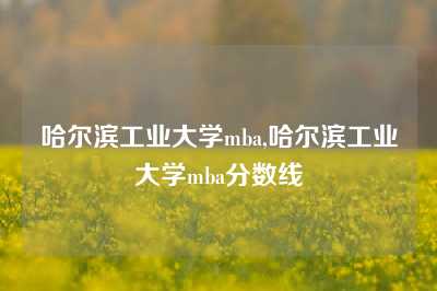 哈尔滨工业大学mba,哈尔滨工业大学mba分数线