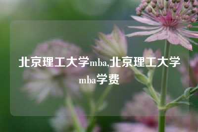 北京理工大学mba,北京理工大学mba学费