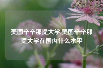 美国辛辛那提大学,美国辛辛那提大学在国内什么水平