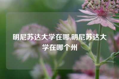 明尼苏达大学在哪,明尼苏达大学在哪个州