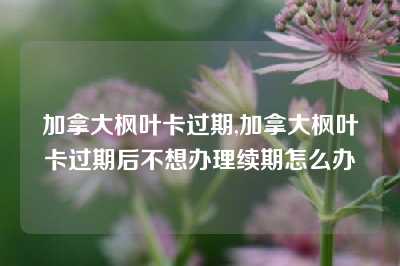 加拿大枫叶卡过期,加拿大枫叶卡过期后不想办理续期怎么办