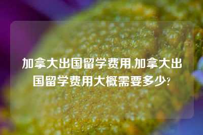 加拿大出国留学费用,加拿大出国留学费用大概需要多少?