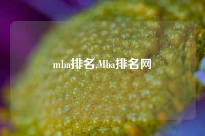 mba排名,Mba排名网