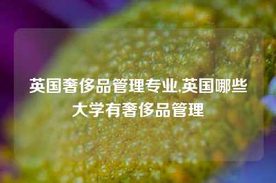 英国奢侈品管理专业,英国哪些大学有奢侈品管理