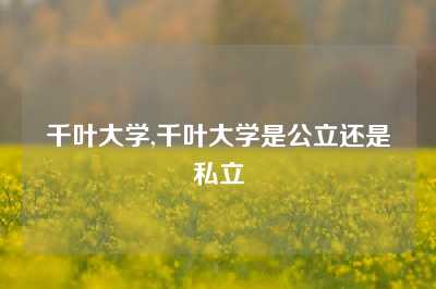 千叶大学,千叶大学是公立还是私立