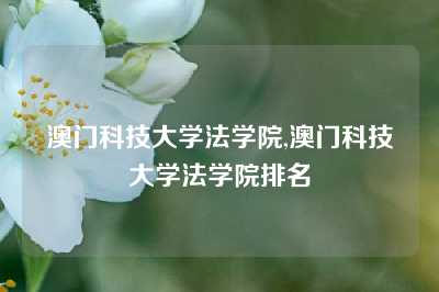 澳门科技大学法学院,澳门科技大学法学院排名