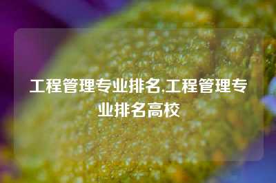 工程管理专业排名,工程管理专业排名高校