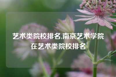 艺术类院校排名,南京艺术学院在艺术类院校排名