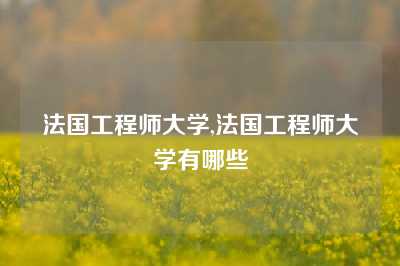 法国工程师大学,法国工程师大学有哪些