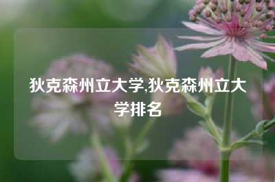 狄克森州立大学,狄克森州立大学排名