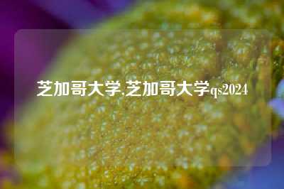 芝加哥大学,芝加哥大学qs2024