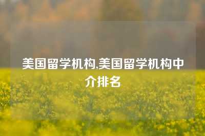 美国留学机构,美国留学机构中介排名