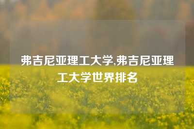 弗吉尼亚理工大学,弗吉尼亚理工大学世界排名