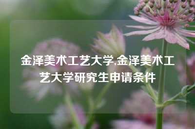 金泽美术工艺大学,金泽美术工艺大学研究生申请条件