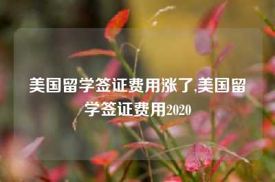 美国留学签证费用涨了,美国留学签证费用2020