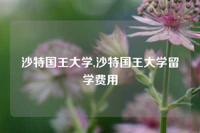 沙特国王大学,沙特国王大学留学费用