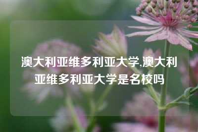 澳大利亚维多利亚大学,澳大利亚维多利亚大学是名校吗