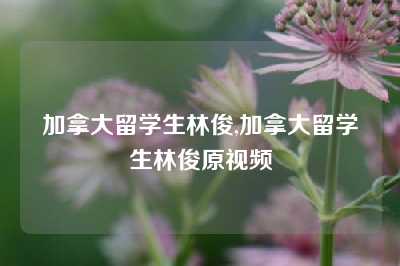 加拿大留学生林俊,加拿大留学生林俊原视频