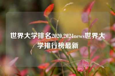 世界大学排名2020,2024news世界大学排行榜最新