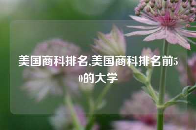 美国商科排名,美国商科排名前50的大学