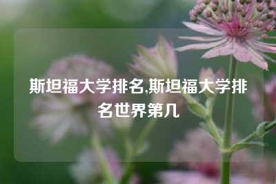 斯坦福大学排名,斯坦福大学排名世界第几