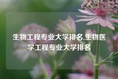 生物工程专业大学排名,生物医学工程专业大学排名