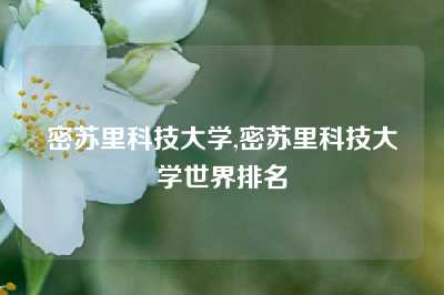 密苏里科技大学,密苏里科技大学世界排名