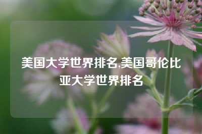 美国大学世界排名,美国哥伦比亚大学世界排名