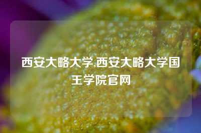 西安大略大学,西安大略大学国王学院官网