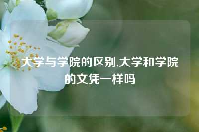 大学与学院的区别,大学和学院的文凭一样吗