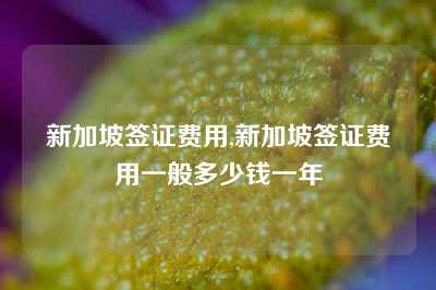 新加坡签证费用,新加坡签证费用一般多少钱一年