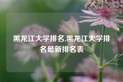 黑龙江大学排名,黑龙江大学排名最新排名表