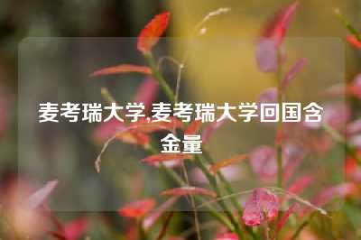 麦考瑞大学,麦考瑞大学回国含金量