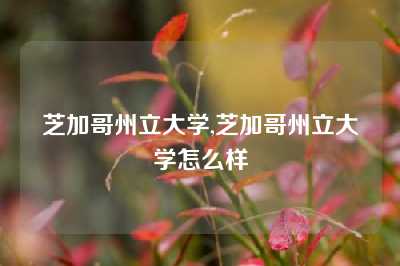 芝加哥州立大学,芝加哥州立大学怎么样