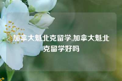 加拿大魁北克留学,加拿大魁北克留学好吗