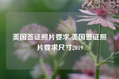 美国签证照片要求,美国签证照片要求尺寸2019