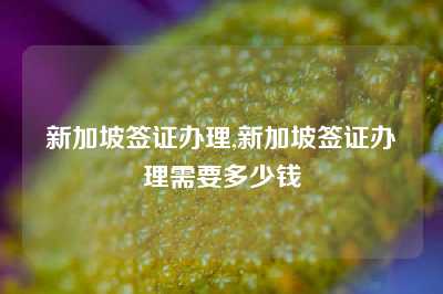 新加坡签证办理,新加坡签证办理需要多少钱