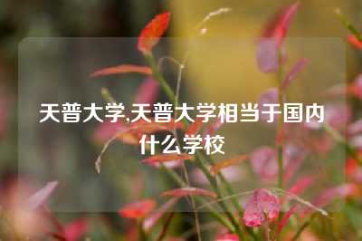 天普大学,天普大学相当于国内什么学校