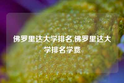 佛罗里达大学排名,佛罗里达大学排名学费