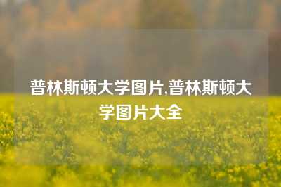 普林斯顿大学图片,普林斯顿大学图片大全