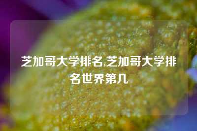 芝加哥大学排名,芝加哥大学排名世界第几