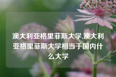 澳大利亚格里菲斯大学,澳大利亚格里菲斯大学相当于国内什么大学