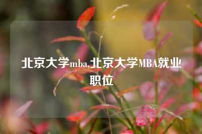 北京大学mba,北京大学MBA就业职位