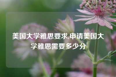 美国大学雅思要求,申请美国大学雅思需要多少分