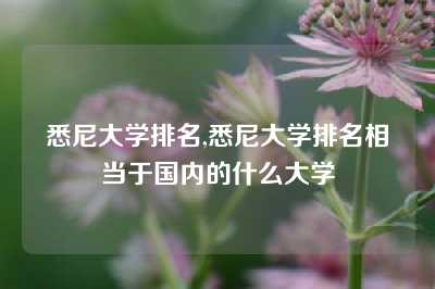 悉尼大学排名,悉尼大学排名相当于国内的什么大学