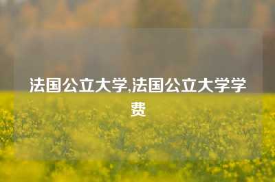 法国公立大学,法国公立大学学费