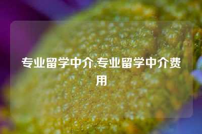 专业留学中介,专业留学中介费用