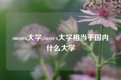 sussex大学,sussex大学相当于国内什么大学